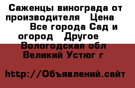 Саженцы винограда от производителя › Цена ­ 800 - Все города Сад и огород » Другое   . Вологодская обл.,Великий Устюг г.